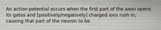 An action potential occurs when the first part of the axon opens its gates and [positively/negatively] charged ions rush in, causing that part of the neuron to be