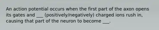 An action potential occurs when the first part of the axon opens its gates and ___ (positively/negatively) charged ions rush in, causing that part of the neuron to become ___.