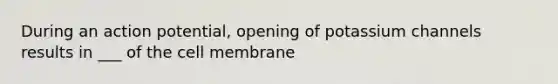 During an action potential, opening of potassium channels results in ___ of the cell membrane