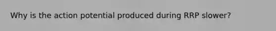 Why is the action potential produced during RRP slower?