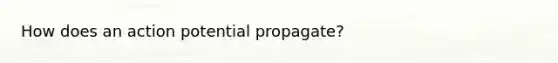 How does an action potential propagate?