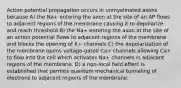 Action potential propagation occurs in unmyelinated axons because A) the Na+ entering the axon at the site of an AP flows to adjacent regions of the membrane causing it to depolarize and reach threshold B) the Na+ entering the axon at the site of an action potential flows to adjacent regions of the membrane and blocks the opening of K+ channels C) the depolarization of the membrane opens voltage-gated Ca+ channels allowing Ca+ to flow into the cell which activates Na+ channels in adjacent regions of the membrane. D) a non-local field effect is established that permits quantum mechanical tunneling of electrons to adjacent regions of the membrane.