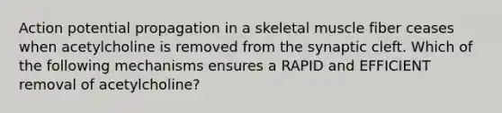 Action potential propagation in a skeletal muscle fiber ceases when acetylcholine is removed from the synaptic cleft. Which of the following mechanisms ensures a RAPID and EFFICIENT removal of acetylcholine?