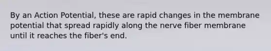 By an Action Potential, these are rapid changes in the membrane potential that spread rapidly along the nerve fiber membrane until it reaches the fiber's end.