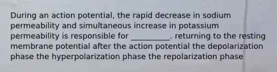 During an action potential, the rapid decrease in sodium permeability and simultaneous increase in potassium permeability is responsible for __________. returning to the resting membrane potential after the action potential the depolarization phase the hyperpolarization phase the repolarization phase