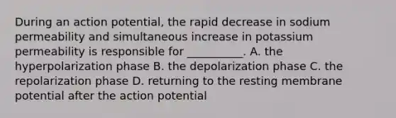 During an action potential, the rapid decrease in sodium permeability and simultaneous increase in potassium permeability is responsible for __________. A. the hyperpolarization phase B. the depolarization phase C. the repolarization phase D. returning to the resting membrane potential after the action potential