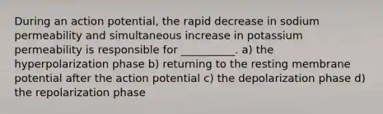 During an action potential, the rapid decrease in sodium permeability and simultaneous increase in potassium permeability is responsible for __________. a) the hyperpolarization phase b) returning to the resting membrane potential after the action potential c) the depolarization phase d) the repolarization phase