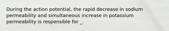 During the action potential, the rapid decrease in sodium permeability and simultaneous increase in potassium permeability is responsible for _.