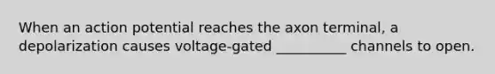 When an action potential reaches the axon terminal, a depolarization causes voltage-gated __________ channels to open.