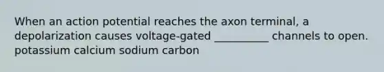 When an action potential reaches the axon terminal, a depolarization causes voltage-gated __________ channels to open. potassium calcium sodium carbon