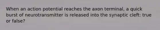 When an action potential reaches the axon terminal, a quick burst of neurotransmitter is released into the synaptic cleft: true or false?