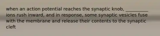 when an action potential reaches the synaptic knob, __________ ions rush inward, and in response, some synaptic vesicles fuse with the membrane and release their contents to the synaptic cleft