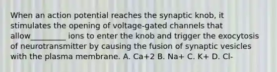 When an action potential reaches the synaptic knob, it stimulates the opening of voltage-gated channels that allow_________ ions to enter the knob and trigger the exocytosis of neurotransmitter by causing the fusion of synaptic vesicles with the plasma membrane. A. Ca+2 B. Na+ C. K+ D. Cl-