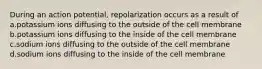 During an action potential, repolarization occurs as a result of a.potassium ions diffusing to the outside of the cell membrane b.potassium ions diffusing to the inside of the cell membrane c.sodium ions diffusing to the outside of the cell membrane d.sodium ions diffusing to the inside of the cell membrane