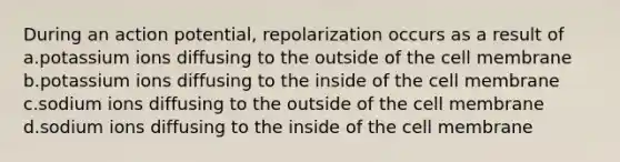 During an action potential, repolarization occurs as a result of a.potassium ions diffusing to the outside of the cell membrane b.potassium ions diffusing to the inside of the cell membrane c.sodium ions diffusing to the outside of the cell membrane d.sodium ions diffusing to the inside of the cell membrane