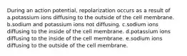 During an action potential, repolarization occurs as a result of a.potassium ions diffusing to the outside of the cell membrane. b.sodium and potassium ions not diffusing. c.sodium ions diffusing to the inside of the cell membrane. d.potassium ions diffusing to the inside of the cell membrane. e.sodium ions diffusing to the outside of the cell membrane.