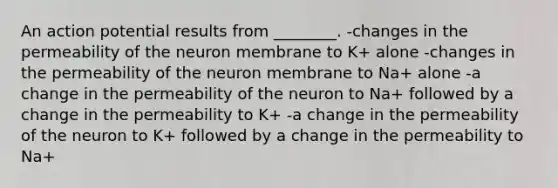 An action potential results from ________. -changes in the permeability of the neuron membrane to K+ alone -changes in the permeability of the neuron membrane to Na+ alone -a change in the permeability of the neuron to Na+ followed by a change in the permeability to K+ -a change in the permeability of the neuron to K+ followed by a change in the permeability to Na+