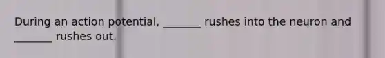 During an action potential, _______ rushes into the neuron and _______ rushes out.