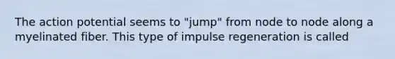 The action potential seems to "jump" from node to node along a myelinated fiber. This type of impulse regeneration is called