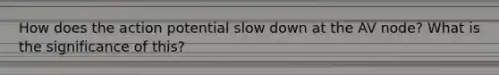 How does the action potential slow down at the AV node? What is the significance of this?