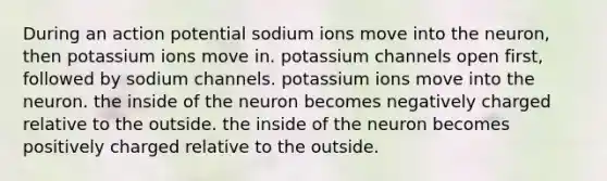 During an action potential sodium ions move into the neuron, then potassium ions move in. potassium channels open first, followed by sodium channels. potassium ions move into the neuron. the inside of the neuron becomes negatively charged relative to the outside. the inside of the neuron becomes positively charged relative to the outside.