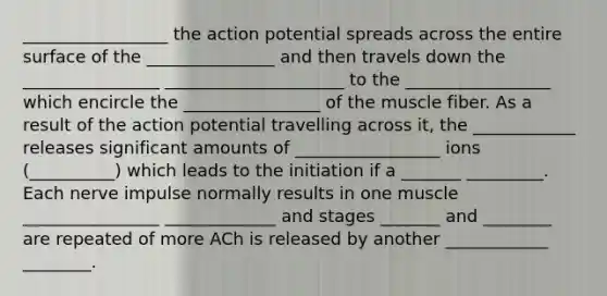 _________________ the action potential spreads across the entire surface of the _______________ and then travels down the ________________ _____________________ to the _________________ which encircle the ________________ of the muscle fiber. As a result of the action potential travelling across it, the ____________ releases significant amounts of _________________ ions (__________) which leads to the initiation if a _______ _________. Each nerve impulse normally results in one muscle ________________ _____________ and stages _______ and ________ are repeated of more ACh is released by another ____________ ________.