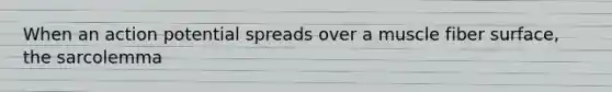 When an action potential spreads over a muscle fiber surface, the sarcolemma