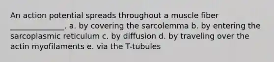 An action potential spreads throughout a muscle fiber ______________. a. by covering the sarcolemma b. by entering the sarcoplasmic reticulum c. by diffusion d. by traveling over the actin myofilaments e. via the T-tubules