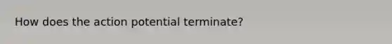 How does the action potential terminate?