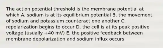 The action potential threshold is the membrane potential at which A. sodium is at its equilibrium potential B. the movement of sodium and potassium counteract one another C. repolarization begins to occur D. the cell is at its peak positive voltage (usually +40 mV) E. the positive feedback between membrane depolarization and sodium influx occurs