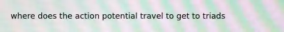 where does the action potential travel to get to triads