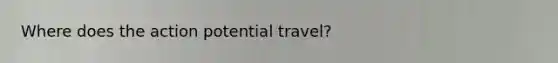 Where does the action potential travel?