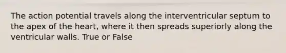 The action potential travels along the interventricular septum to the apex of the heart, where it then spreads superiorly along the ventricular walls. True or False