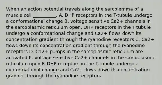 When an action potential travels along the sarcolemma of a muscle cell __________. A. DHP receptors in the T-tubule undergo a conformational change B. voltage sensitive Ca2+ channels in the sarcoplasmic reticulum open, DHP receptors in the T-tubule undergo a conformational change and Ca2+ flows down its concentration gradient through the ryanodine receptors C. Ca2+ flows down its concentration gradient through the ryanodine receptors D. Ca2+ pumps in the sarcoplasmic reticulum are activated E. voltage sensitive Ca2+ channels in the sarcoplasmic reticulum open F. DHP receptors in the T-tubule undergo a conformational change and Ca2+ flows down its concentration gradient through the ryanodine receptors