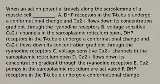 When an action potential travels along the sarcolemma of a muscle cell __________. A. DHP receptors in the T-tubule undergo a conformational change and Ca2+ flows down its concentration gradient through the ryanodine receptors B. voltage sensitive Ca2+ channels in the sarcoplasmic reticulum open, DHP receptors in the T-tubule undergo a conformational change and Ca2+ flows down its concentration gradient through the ryanodine receptors C. voltage sensitive Ca2+ channels in the sarcoplasmic reticulum open D. Ca2+ flows down its concentration gradient through the ryanodine receptors E. Ca2+ pumps in the sarcoplasmic reticulum are activated F. DHP receptors in the T-tubule undergo a conformational change