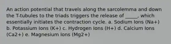 An action potential that travels along the sarcolemma and down the T-tubules to the triads triggers the release of _____, which essentially initiates the contraction cycle. a. Sodium Ions (Na+) b. Potassium Ions (K+) c. Hydrogen Ions (H+) d. Calcium Ions (Ca2+) e. Magnesium Ions (Mg2+)