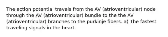 The action potential travels from the AV (atrioventricular) node through the AV (atrioventricular) bundle to the the AV (atrioventricular) branches to the purkinje fibers. a) The fastest traveling signals in the heart.