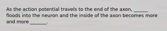 As the action potential travels to the end of the axon, ______ floods into the neuron and the inside of the axon becomes more and more _______.