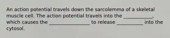 An action potential travels down the sarcolemma of a skeletal muscle cell. The action potential travels into the ____________, which causes the _________________ to release ___________ into the cytosol.