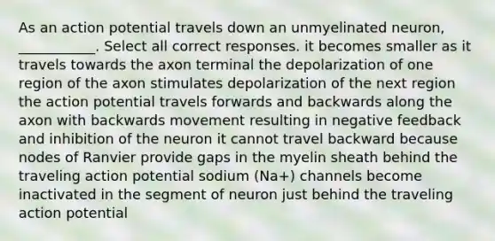 As an action potential travels down an unmyelinated neuron, ___________. Select all correct responses. it becomes smaller as it travels towards the axon terminal the depolarization of one region of the axon stimulates depolarization of the next region the action potential travels forwards and backwards along the axon with backwards movement resulting in negative feedback and inhibition of the neuron it cannot travel backward because nodes of Ranvier provide gaps in the myelin sheath behind the traveling action potential sodium (Na+) channels become inactivated in the segment of neuron just behind the traveling action potential