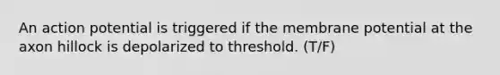 An action potential is triggered if the membrane potential at the axon hillock is depolarized to threshold. (T/F)