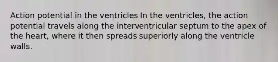 Action potential in the ventricles In the ventricles, the action potential travels along the interventricular septum to the apex of <a href='https://www.questionai.com/knowledge/kya8ocqc6o-the-heart' class='anchor-knowledge'>the heart</a>, where it then spreads superiorly along the ventricle walls.