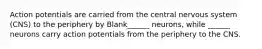 Action potentials are carried from the central nervous system (CNS) to the periphery by Blank______ neurons, while ______ neurons carry action potentials from the periphery to the CNS.