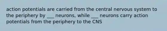 action potentials are carried from the central nervous system to the periphery by ___ neurons, while ___ neurons carry action potentials from the periphery to the CNS