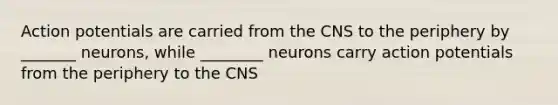 Action potentials are carried from the CNS to the periphery by _______ neurons, while ________ neurons carry action potentials from the periphery to the CNS