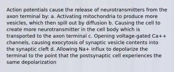 Action potentials cause the release of neurotransmitters from the axon terminal by: a. Activating mitochondria to produce more vesicles, which then spill out by diffusion b. Causing the cell to create more neurotransmitter in the cell body which is transported to the axon terminal c. Opening voltage-gated Ca++ channels, causing exocytosis of synaptic vesicle contents into the synaptic cleft d. Allowing Na+ influx to depolarize the terminal to the point that the postsynaptic cell experiences the same depolarization