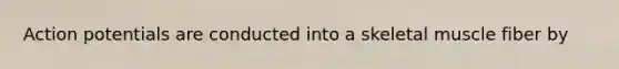 Action potentials are conducted into a skeletal muscle fiber by