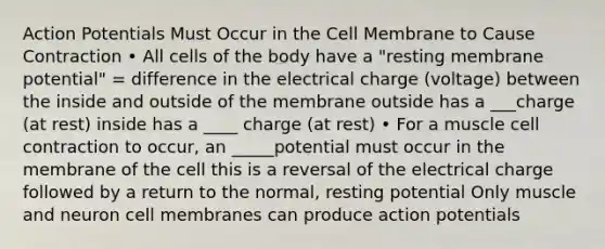 Action Potentials Must Occur in the Cell Membrane to Cause Contraction • All cells of the body have a "resting membrane potential" = difference in the electrical charge (voltage) between the inside and outside of the membrane outside has a ___charge (at rest) inside has a ____ charge (at rest) • For a muscle cell contraction to occur, an _____potential must occur in the membrane of the cell this is a reversal of the electrical charge followed by a return to the normal, resting potential Only muscle and neuron cell membranes can produce action potentials