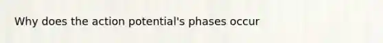 Why does the action potential's phases occur