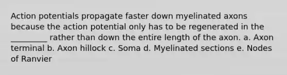 Action potentials propagate faster down myelinated axons because the action potential only has to be regenerated in the _________ rather than down the entire length of the axon. a. Axon terminal b. Axon hillock c. Soma d. Myelinated sections e. Nodes of Ranvier